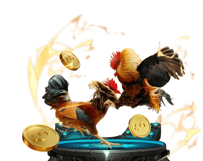 Đá gà Campuchia trực tiếp